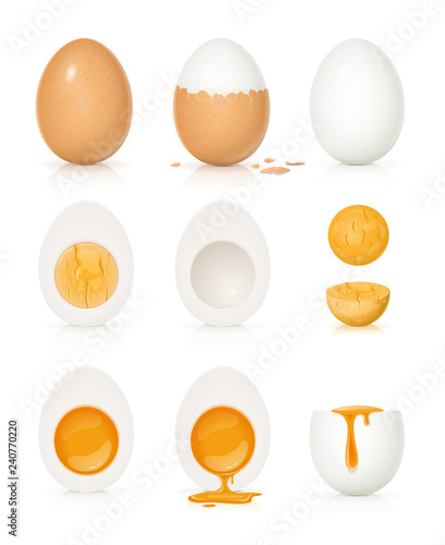 Fotomural Set of eggs with yolk and shell. Product for cooking breakfast.