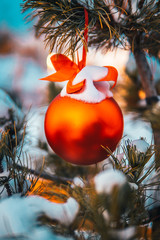 Christmas Red ball and green spruce branch. Christmas decorations.