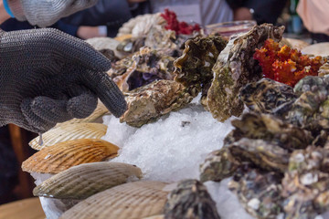 Wall Mural - A man cleans oysters in shells with iron gloves.