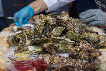 Wall Mural - A man cleans oysters in shells with iron gloves.