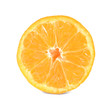 Cut ripe tangerine on white background. Citrus fruit