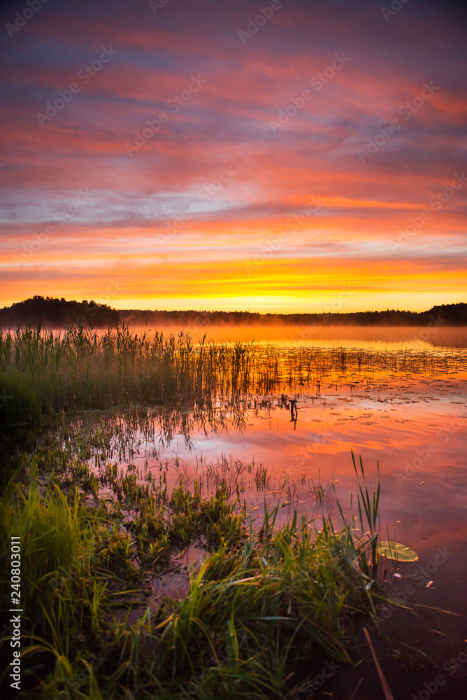 Summer sunrise over lake in Poland - obrazy, fototapety, plakaty 