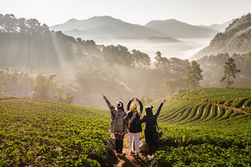 The 3 Asian female Travelers with The beautiful Landscape, strawberry plantation in the morning with the mist, at Ban Nor Lae, Doi Ang Khang, Chaing Mai, Thailand. Explore with best friend