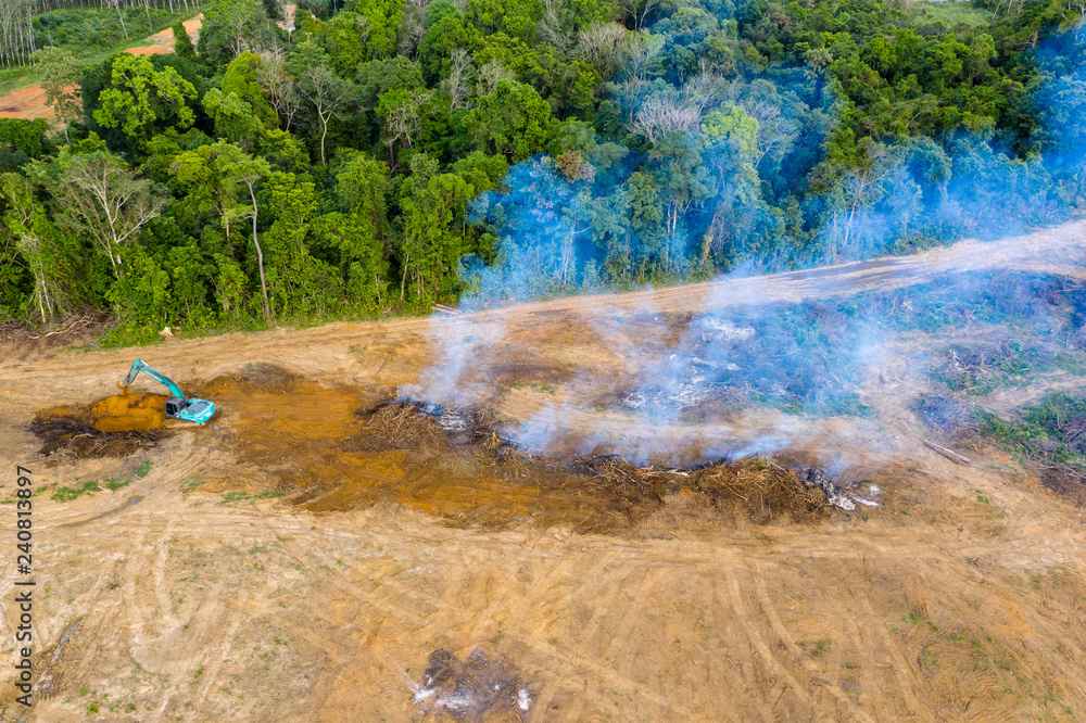 Aerial drone view of tropical rainforest deforestation to clear land ...