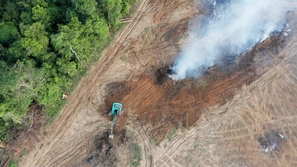 Wall Mural - Aerial video of deforestation in a tropical rainforest - land being cleared and burnt for palm oil and rubber plantations