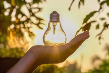 Concept Power Energy Of Solar In Nature. Hand Holding Light Bulb With Sunset