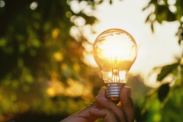 Wall Mural - concept power energy of solar in nature. hand holding light bulb with sunset