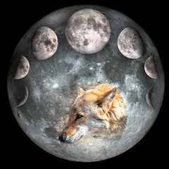 wolf head inside the full moon collage and phases of the moon, isolated on black background. the ele