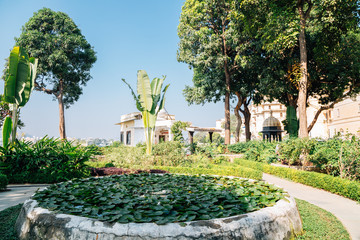 Wall Mural - Tropical trees park near Pichola lake in Udaipur, India