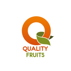 Wall Mural - Quality fruits vector letter Q icon