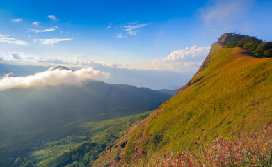 fresh green field on top of the mountain at Monjong, Chiang Mai, Thailand