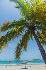 Wall Mural - Sand beach in Cuba