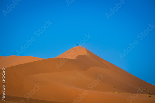 Plakat Sam na pustyni