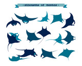 Fototapeta Dinusie - Set of underwater manta ray