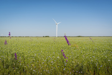 Beautiful  landscape with wind generator turbines in green field and blue sky. Renewable energy concept