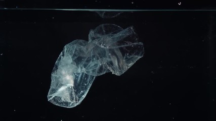 Wall Mural - plastic bag in water, pollution environmental problem concept
