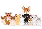 Fototapeta Pokój dzieciecy - group of hamsters