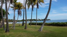Palm Trees, Grass, And Water In Guanica, Puerto Rico