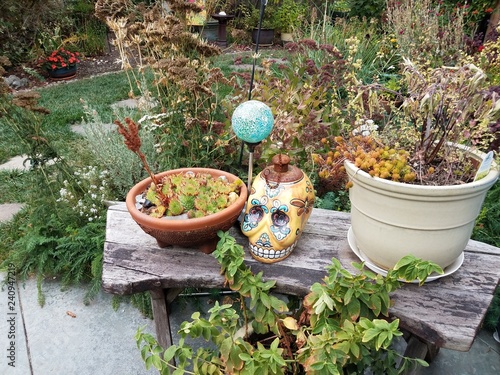 Fotografie, Obraz skull and flowers and plants and orb in backyard