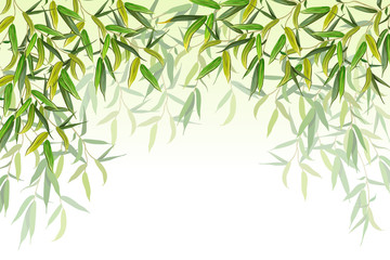 Willow branches. Background for cards and prints. Vector illustration.