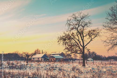 Zdjęcie XXL Wiejski zima krajobraz przy zmierzchem