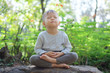 © yAOinLoVE - Cute little Asian 2 - 3 years old toddler baby boy child with eyes closed, barefoot practices yoga & meditating outdoors on nature in springtime, Beginner Meditation, Healthy lifestyle concept
