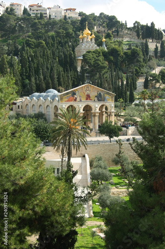 Fotomural Temple in the Garden of Gethsemane.