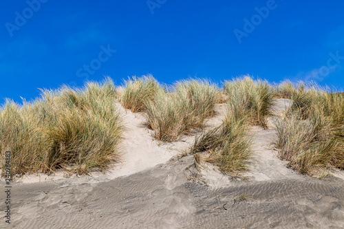 Foto Sand dunes and a blue sky at Ocean Beach, in San Francisco, California
