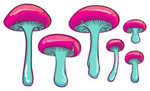 Forest Mushrooms. Isolated Vector Illustrations Of Colorful Mushrooms.