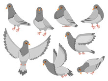 Cartoon Pigeon. City Dove Bird, Flying Pigeons And Town Birds Doves Isolated Vector Illustration Set