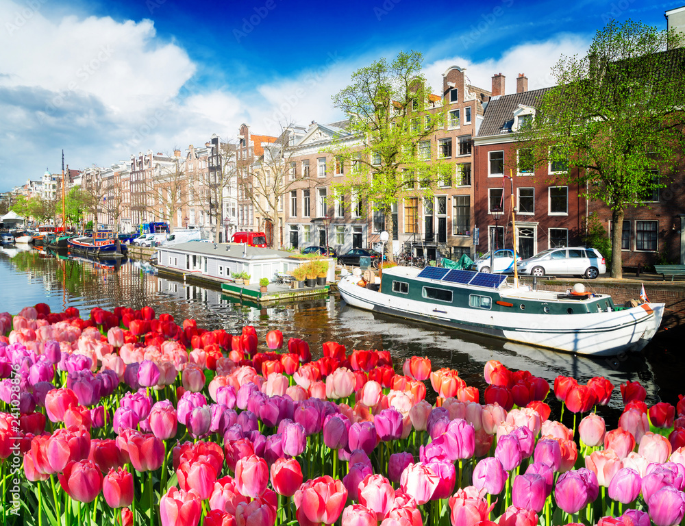 Obraz na płótnie Amstel canal, Amsterdam w salonie