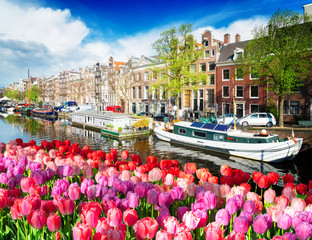 Wall Mural - amstel canal, amsterdam