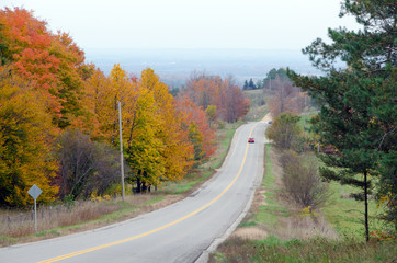 Wall Mural - Highway