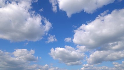 Wall Mural - landscape of the clear sky