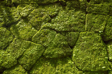 Moss On Rock Wall In Old Temple. Bali, Indonesia.