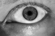 Black and white human eye.