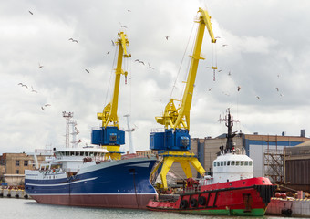 Wall Mural - A new ship was built at the shipyard. Yellow cranes and seagulls in the background