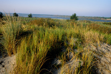 vene del bellocchio riserva naturale parco regionale delta del po ferrara emilia romagna