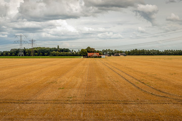 Wheat stubble field after harvesting