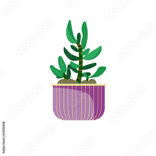 Houseplant In Pot Illustration Green Pot Leaf Home Decoration