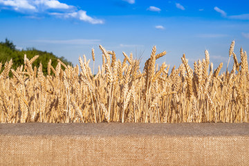 Table in wheat field and blue sky with clouds