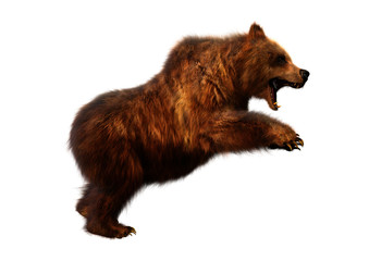 3d rendering brown bear on white