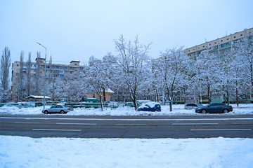 Wall Mural - View through the asphalt on the car in the snow in the city.