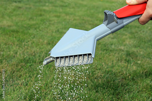 lawn fertilizer being spread by a hand held spreader machine to feed and protect grass