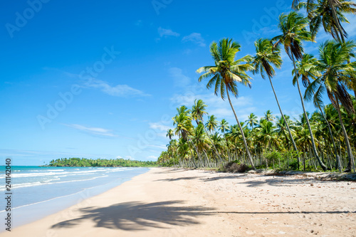 Zdjęcie XXL Pustynna wyspy plaża z cieniami drzewka palmowe na długim, pustym brzeg w Bahia, Brazylia