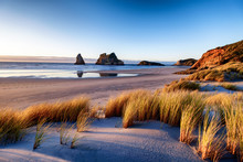 Morning Sunrise With Bushes And Grass At Wharariki Beach New Zealand
