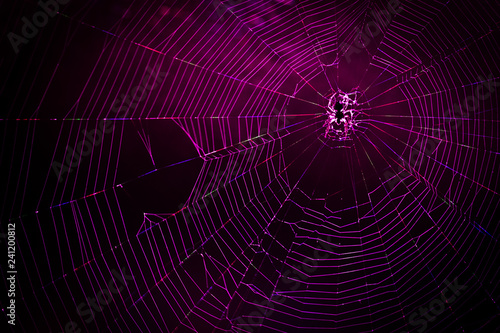 Spider Web Back Lighted By Led Lights Concept Of Connection Spider Web Back Lighted By Led Lights Concept Of Connection Network