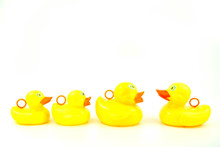 Yellow Rubber Duck On White Background. Leadership Concept.