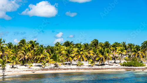 Plakat Drzewka palmowe wyrzucać na brzeg w karaibskim