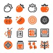 persimmon icon set,vector and illustration